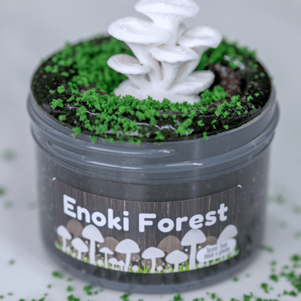 Enoki Forest