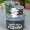 Enoki Forest