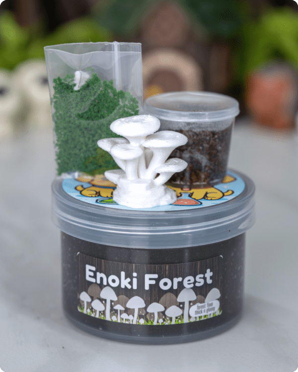 Enoki Forest